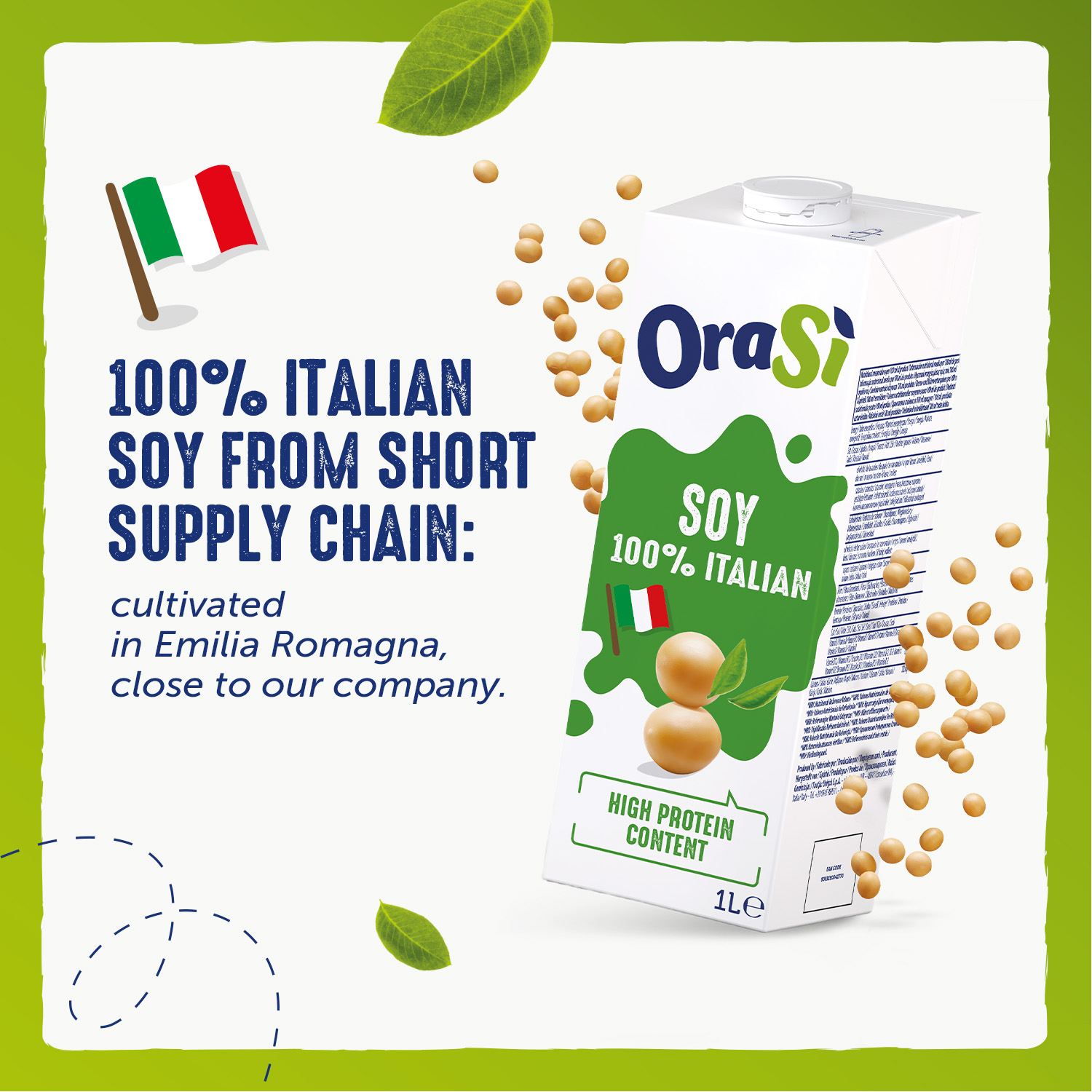 OraSi Plant Based Soy Drink 100% Italian High Protein Content 1 Liter 12 Units