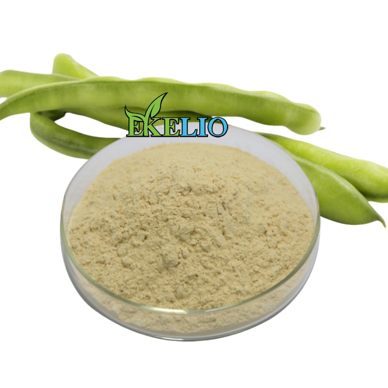 Pure Faba Fava Broad Bean Protein Isolate Powder Various Faba Bean Protein Powder