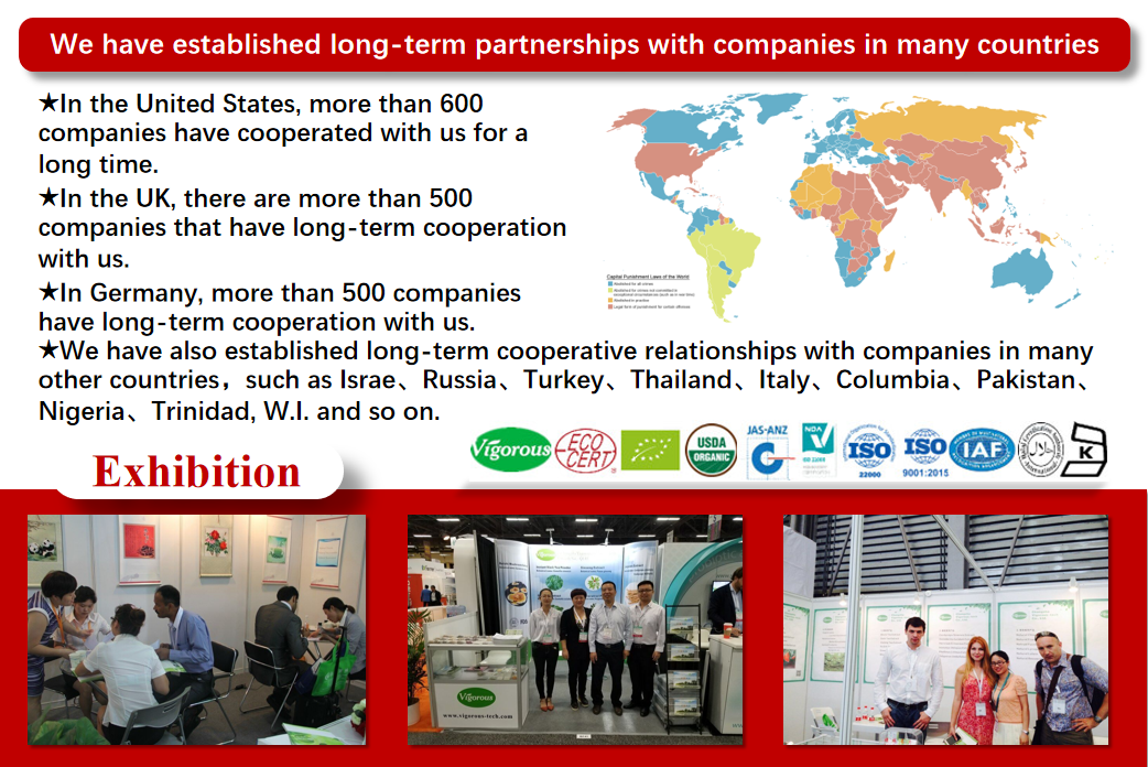 Company Overview