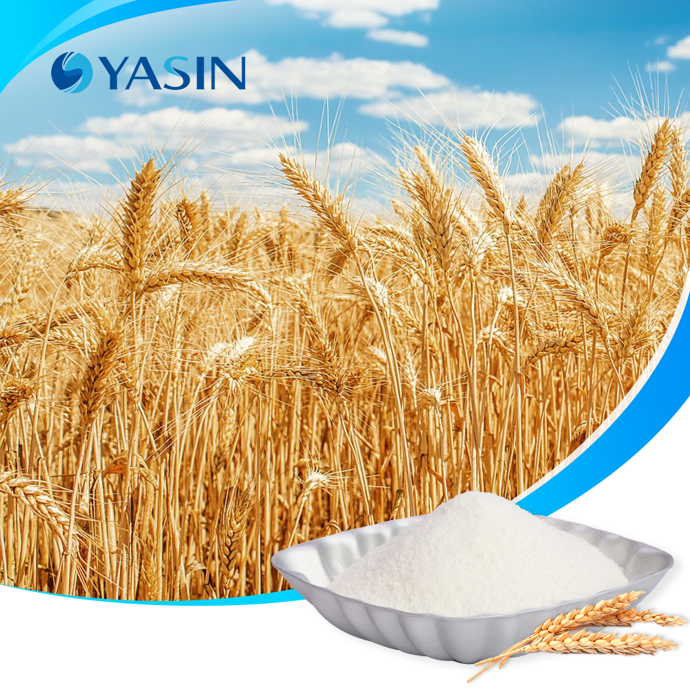 Vegan Collagen Supplement Wheat Hydrolyzed Protein Soluble Wheat Protein for Cosmetics