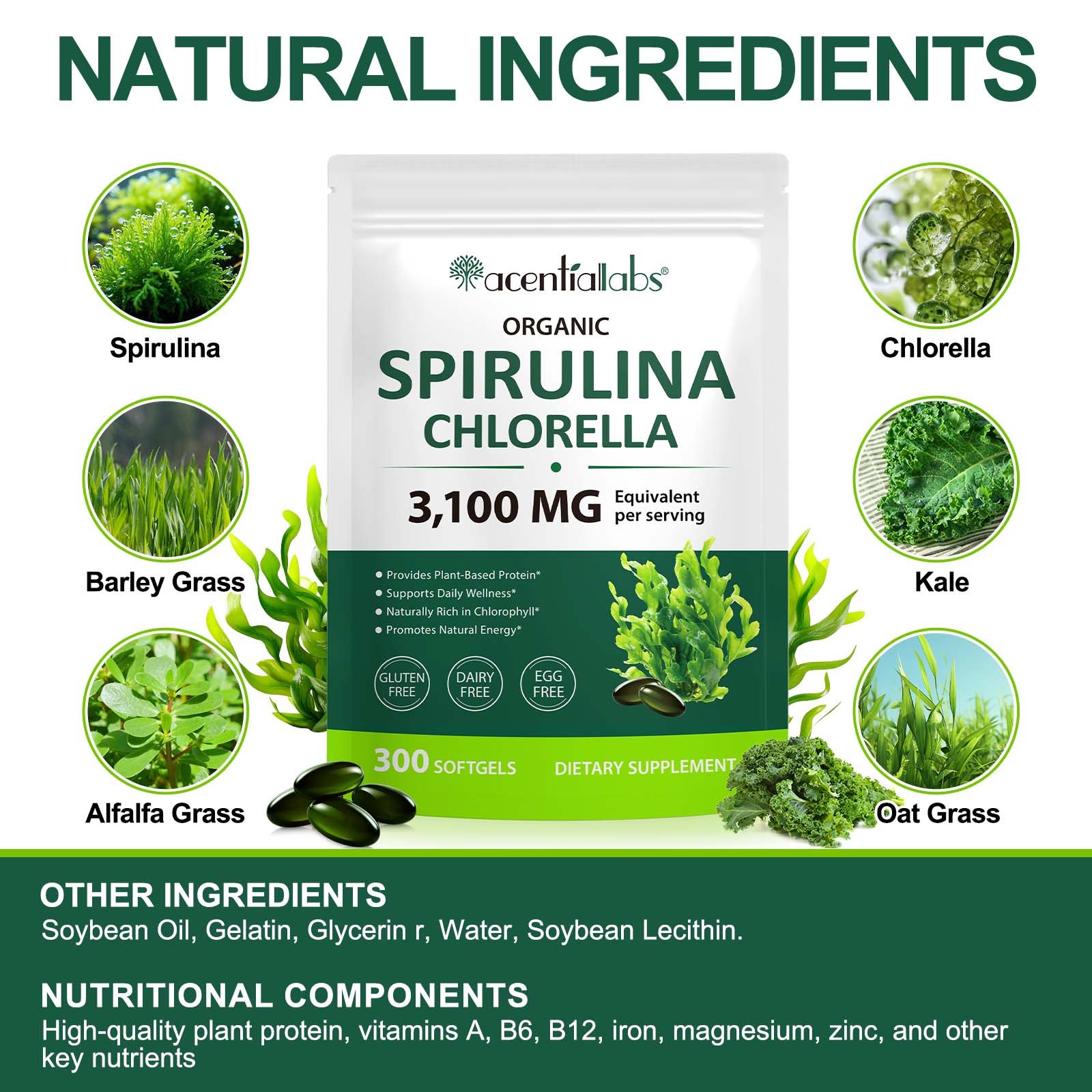 Spirulina Chlorella Info 4