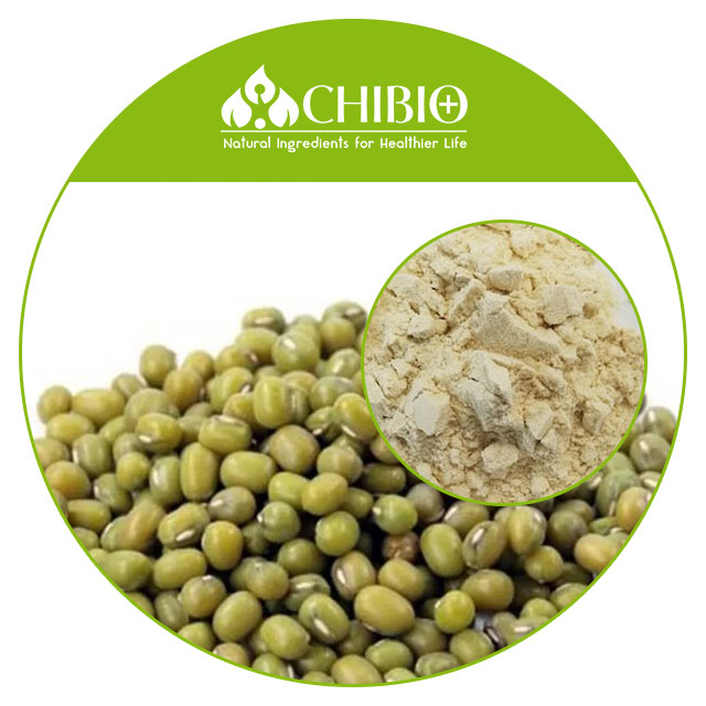 Mung Bean Protein Powder Vegan Protein Supplier's Organic Mung Bean Protein High Nutritional Value Bulk Powder Nutrition