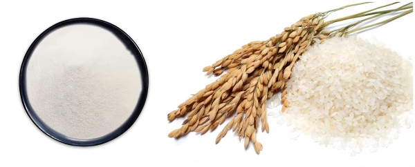 Hydrolyzed Oat Protein Powder Display 2