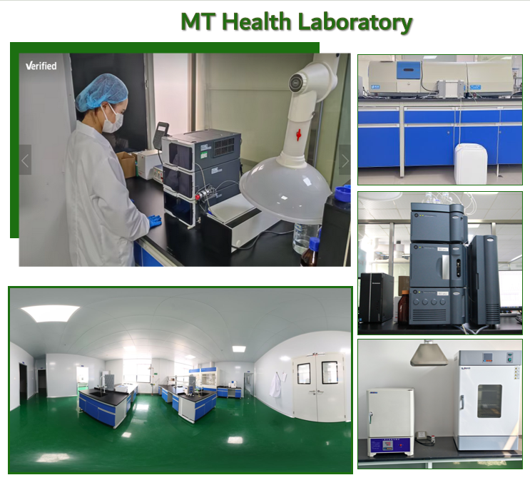 Testing Facility
