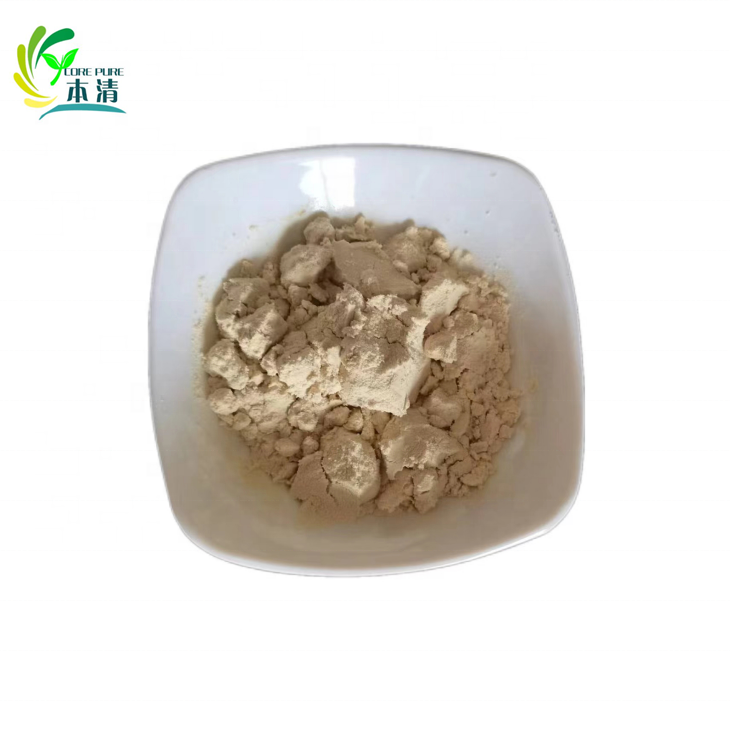 High Quality Organic Fava Bean Protein Isolate Powder Food Grade Liquid Extracted From Seeds Packaged in Bag or Drum