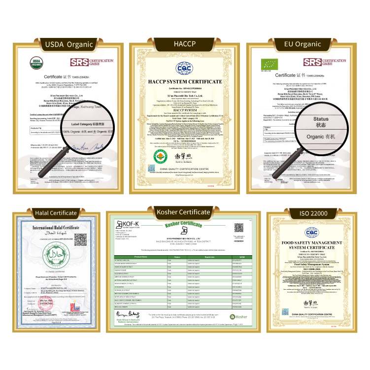 China Supplier Pincredit Wholesale Price High Quality Oatmeal Beta-Glucan Oat Protein Powder