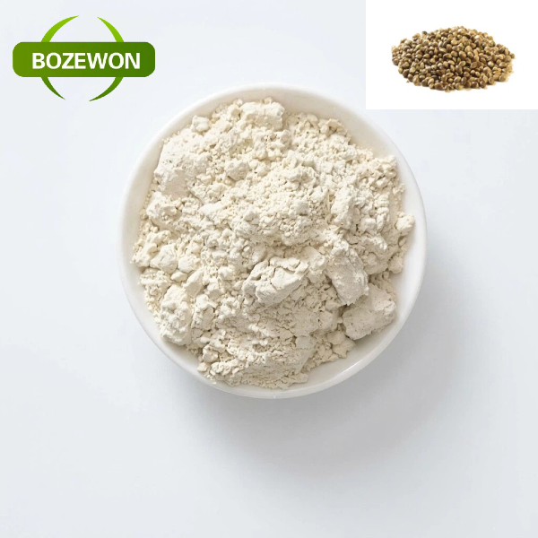 High Quality Food Grade Hemp Seed Protein Powder 50%-70%