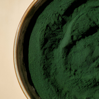 Bulk Export Spirulina Powder 1kg Packs Premium Grade High Protein 60% Superfood Blue Green Algae Keto Friendly