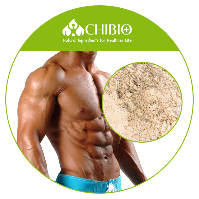 Factory Supply Organic Oat Protein Powder Bulk Price for Body Health Nutritional Food