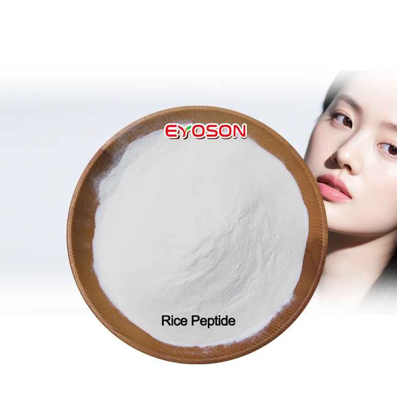 Halal Organic Vegan Hydrolyzed Isolate Rice Protein Peptide Small Molecule 100% Water-Soluble Rice Peptide for Skin