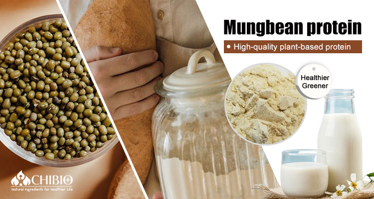 Mungbean Protein Powder Packaging