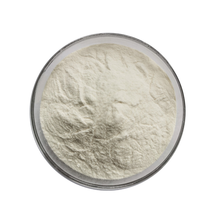 High Quality Food Grade Potato Protein and Starch Powder in Bottles and Drums Supply Included