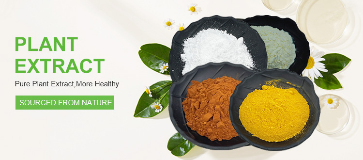Stable Stocks Favorable Price Chickpea Protein Powder