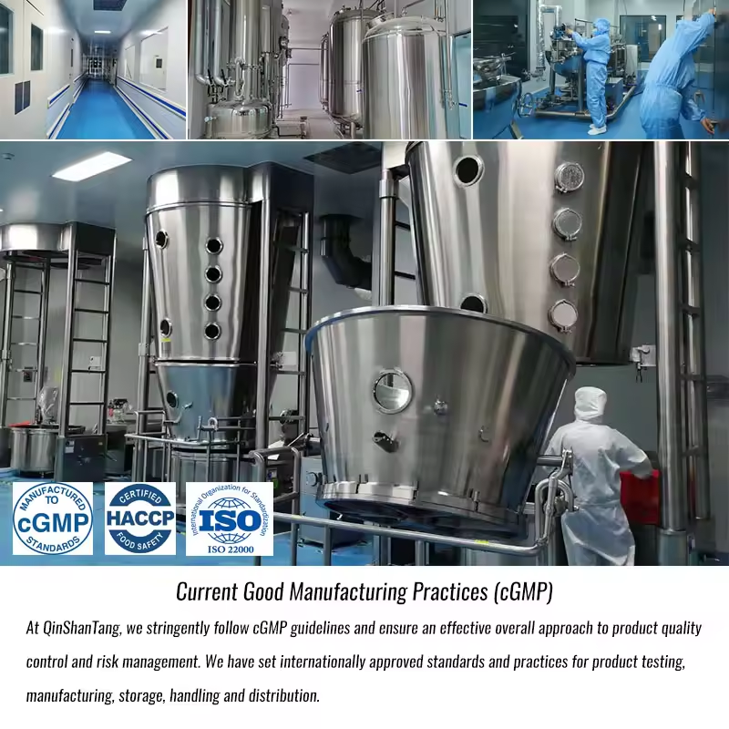 Wholesale Private Label Custom Bulk Organic Vegan 21g Plant Based Pea Protein Isolate Powder