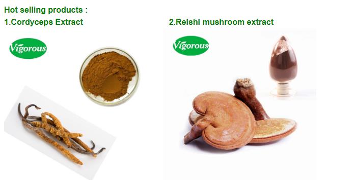 Food Free Samples Organic Vegan 80% Protein Powder Chickpeas Powder Aquafaba Powder for Cooking