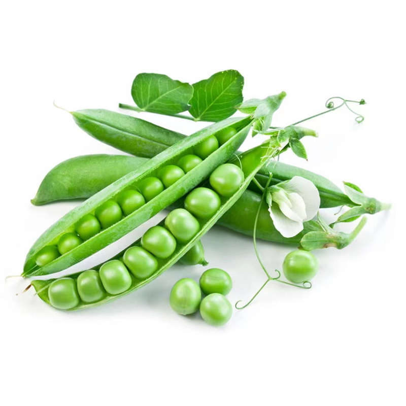 Wholesale Supply Directly Good Quality High Purity Pea Protein Powder for Food