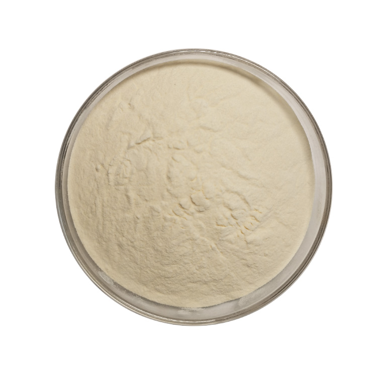 Food Grade Natural Soybean Extract Soybean Peptide Powder Soy Protein Isolate Powder