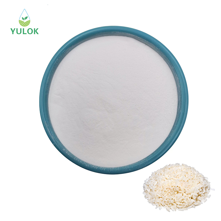 High Quality Food Grade Supplement 100% Natural Organic Rice Protein Powder