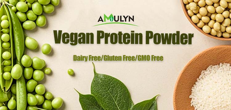 Plant Protein Series Banner