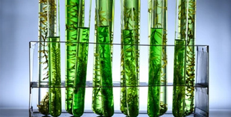Biofuels and Renewable Energy Application