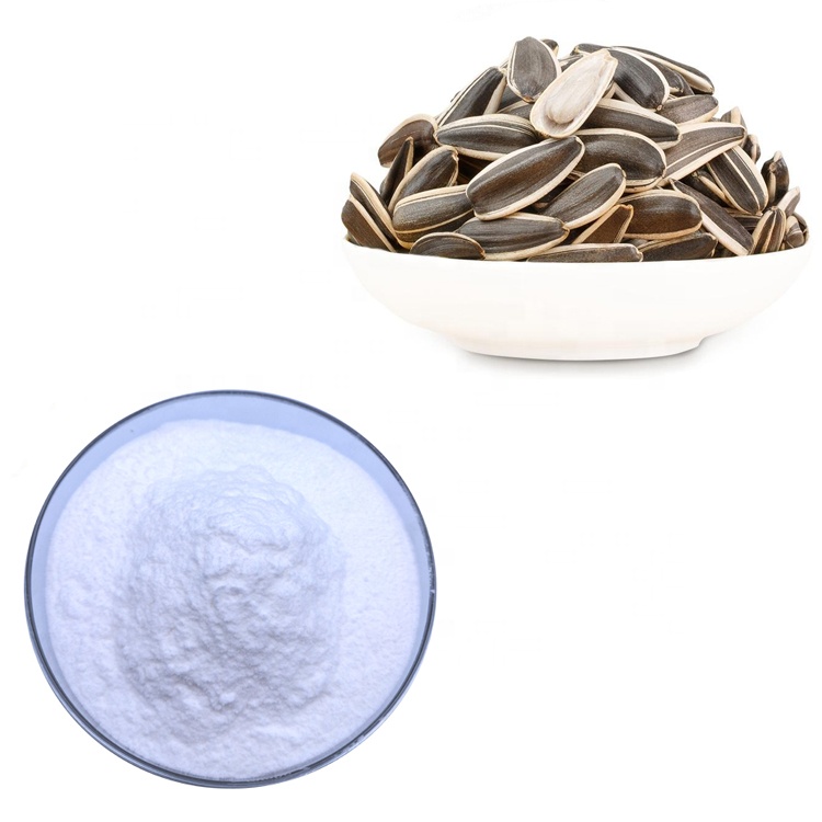 Manufacturer supply high quality sunflower protein powder
