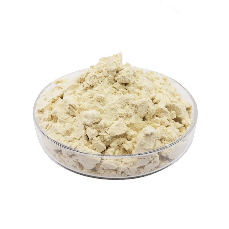 Soy Protein Powder Production