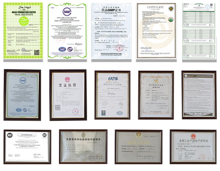 Business Partnership Communication