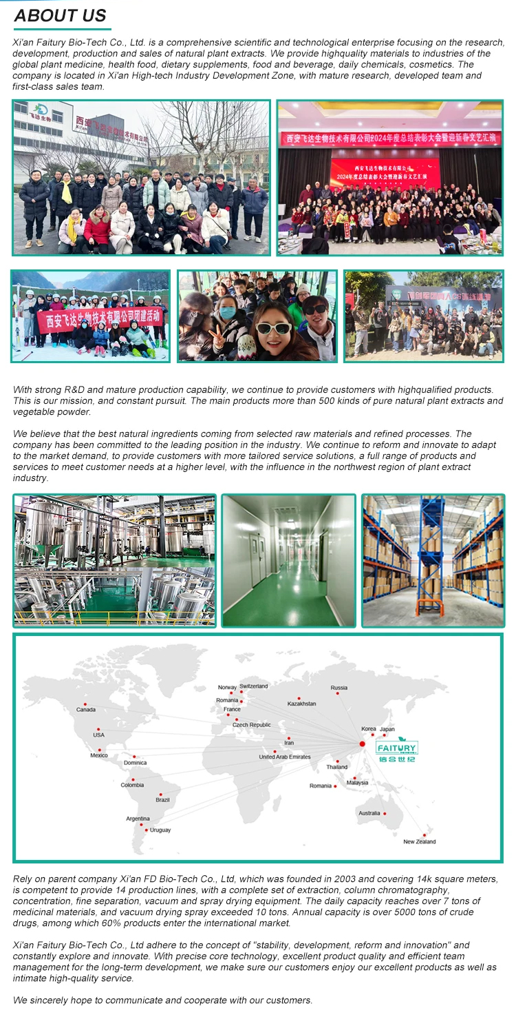Factory Overview