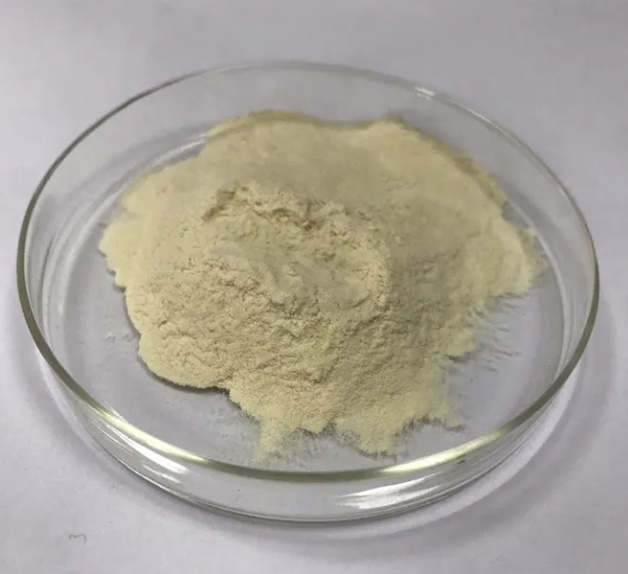 Supply Pea Protein Powder 70% 80% Pea Protein Isolate/ Hydrolyzed Pea Protein Wholesale With Good Quality