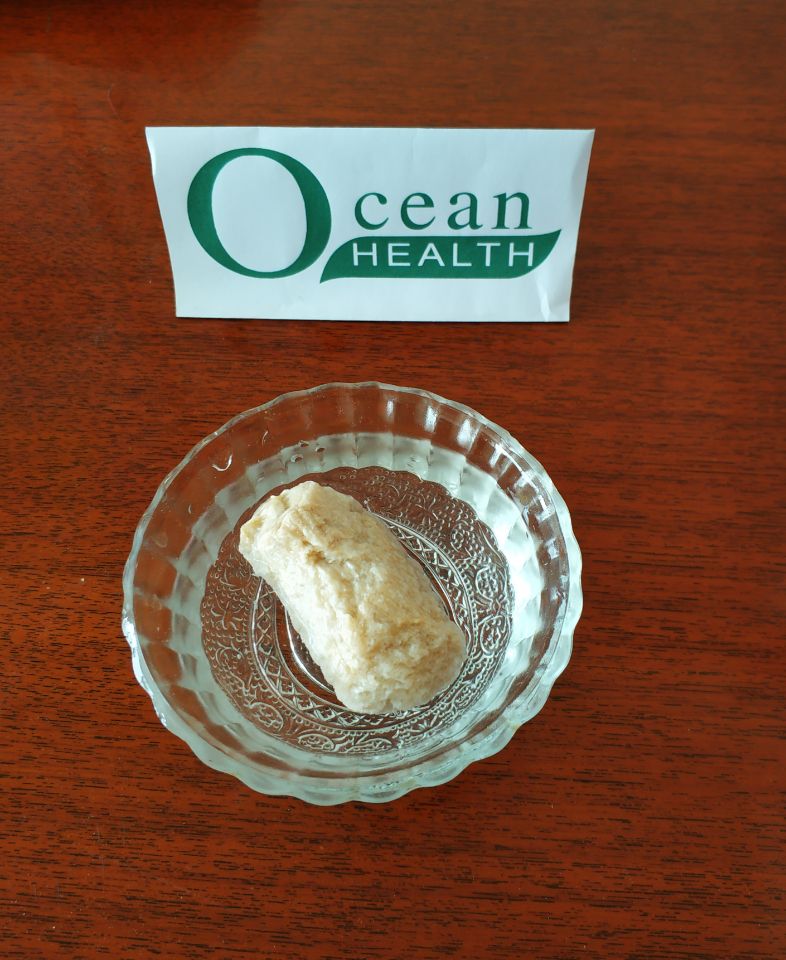 Soybean Protein details