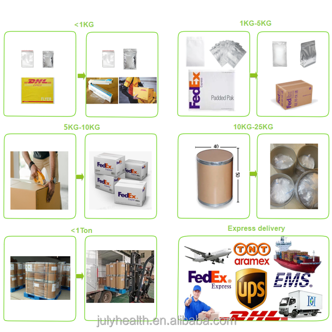 Shipping Logistics
