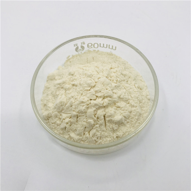 Potato Protein Powder Detail 1