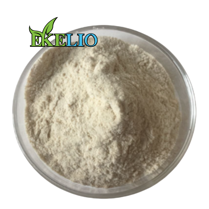 Pure Faba Fava Broad Bean Protein Isolate Powder Various Faba Bean Protein Powder