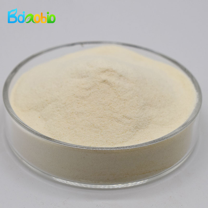 Wholesale Price High Quality Natural Food Grade Chickpea Protein Isolate Powder