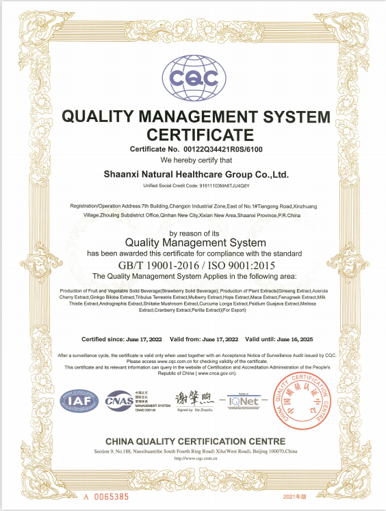 Factory Audit Certification 3
