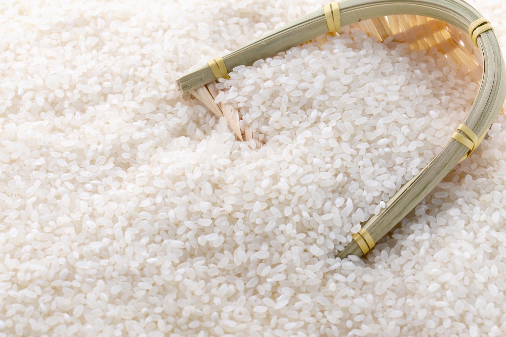 Rice Protein Powder Feature 2