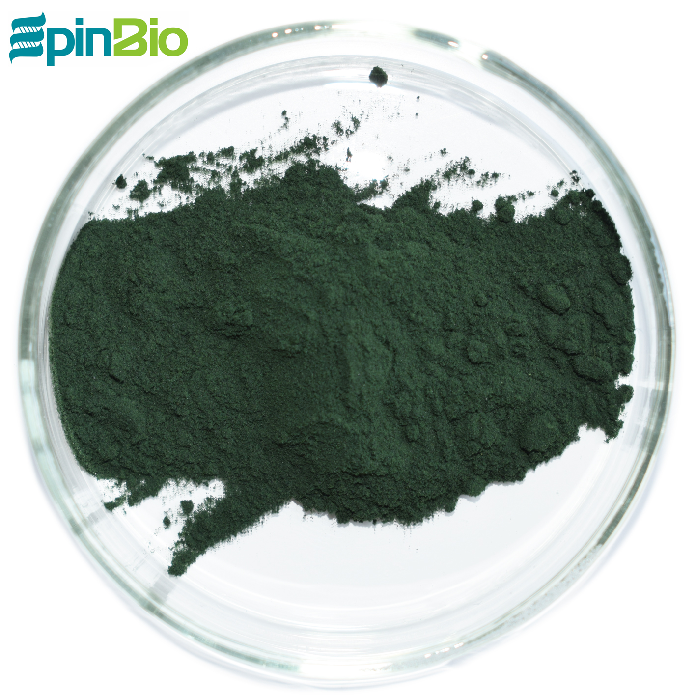 Wholesale 100% Natural Rich Protein 60%~70% Spirulina Powder