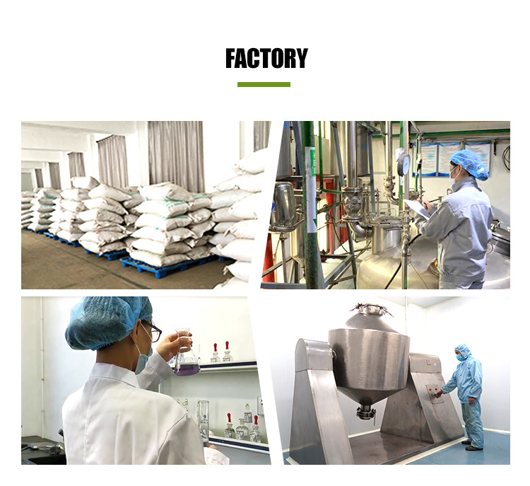Wholesale Bulk Protein Oat Peptide Powder Oat Peptides