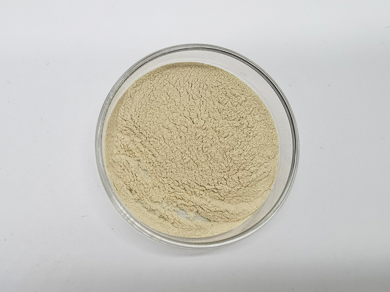 Supply Pea Protein Powder 70% 80% Pea Protein Isolate/ Hydrolyzed Pea Protein Wholesale With Good Quality