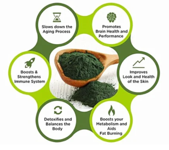 BCI Super Food Pure Organic Spirulina Extract Green Blue Algae Powder Vegan Green Protein