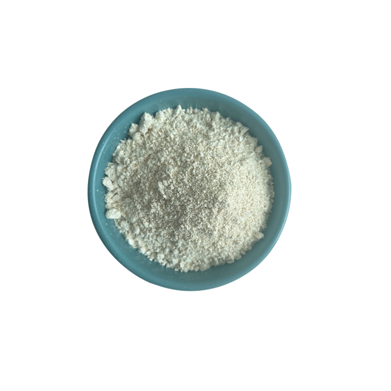 Factory Supplier Pumpkin Seed Protein Powder Pumpkin Seed Protein 10% 60% 70%