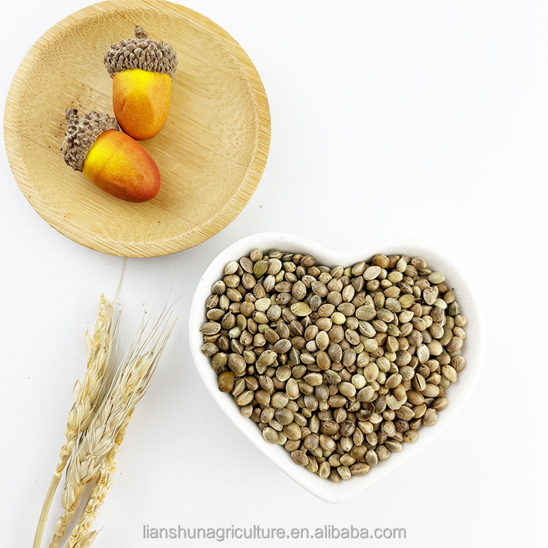 Hemp seed sample 2