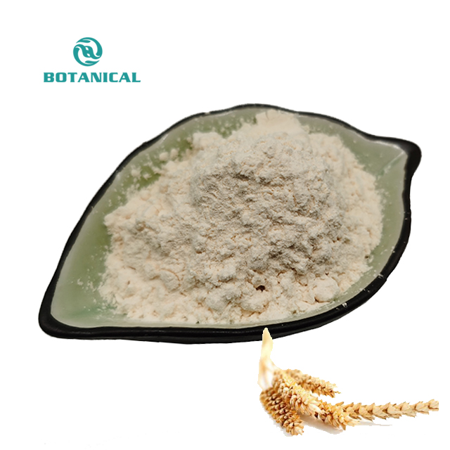 Wheat Protein Powder Product Spec