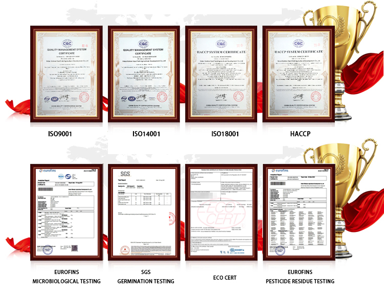 ISO HACCP Certifications