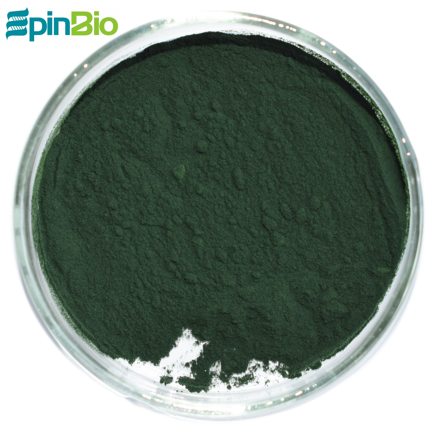 Wholesale 100% Natural Rich Protein 60%~70% Spirulina Powder