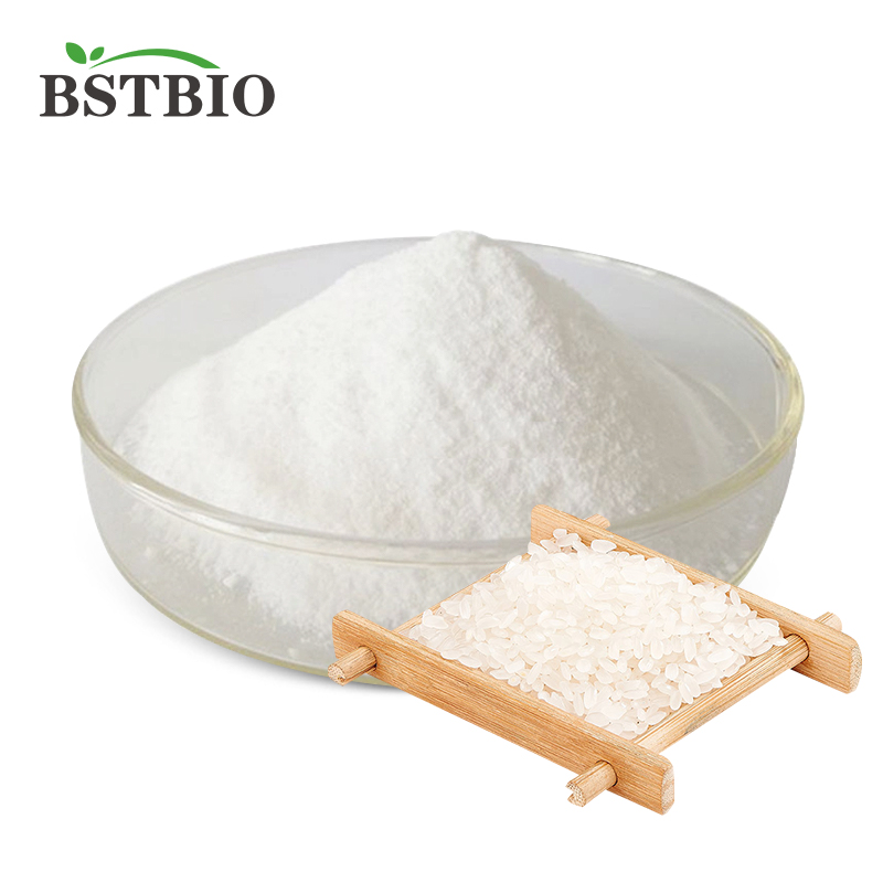 Rice Protein Powder