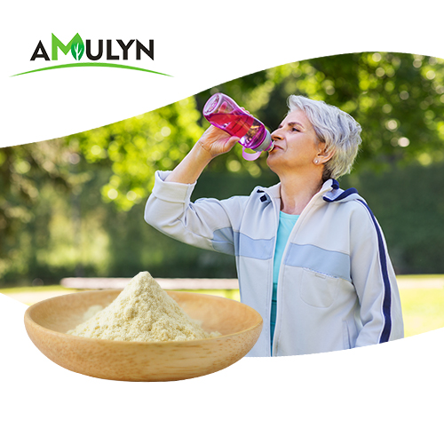 Pure Water Soluble Hydrolyzed Pea Protein Peptide Yellow Pea Protein