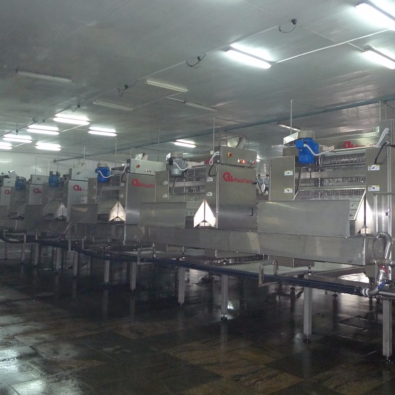 Production Process