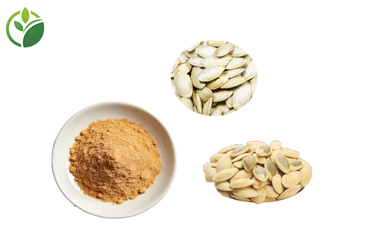 Pumpkin Seed Extract Process 2