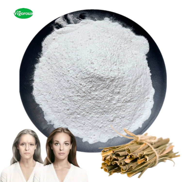 White Willow Bark Extract